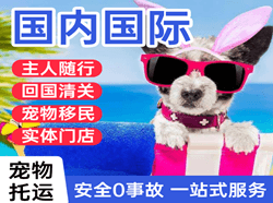 鞍山腾鳌机场货运国际宠物托运 【国